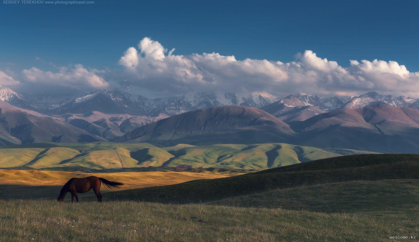 Golden Ring of Dzungaria Tour